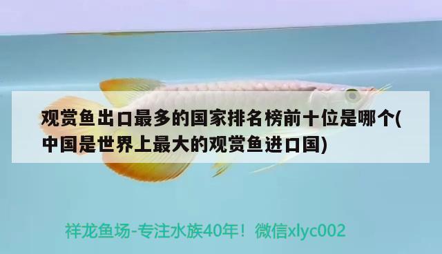 觀賞魚出口最多的國(guó)家排名榜前十位是哪個(gè)(中國(guó)是世界上最大的觀賞魚進(jìn)口國(guó)) 觀賞魚進(jìn)出口