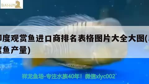 過(guò)濾魚缸多久換一次水最佳(過(guò)濾魚缸多久換一次水最佳呢)