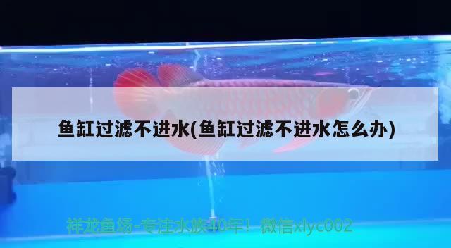 魚缸過濾不進水(魚缸過濾不進水怎么辦)