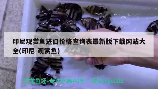 魚缸氧氣盤怎么清洗呀：魚缸氧氣盤怎么清洗呀圖解 廣州水族批發(fā)市場(chǎng) 第1張