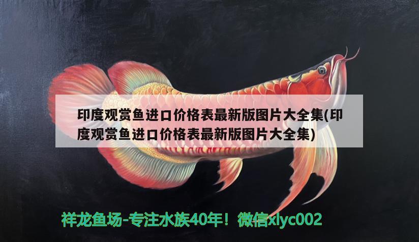 印度觀賞魚(yú)進(jìn)口價(jià)格表最新版圖片大全集(印度觀賞魚(yú)進(jìn)口價(jià)格表最新版圖片大全集)