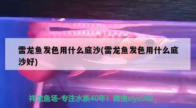 庫(kù)車森森水族館 全國(guó)水族館企業(yè)名錄 第5張