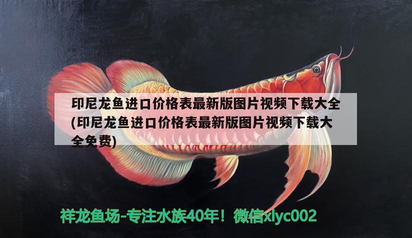 小金魚怎么養(yǎng)才不會死呢，獅子頭的顏色