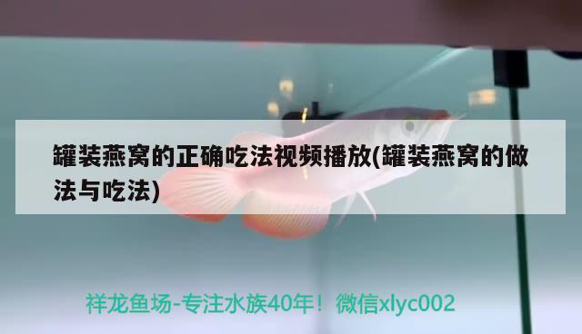 罐裝燕窩的正確吃法視頻播放(罐裝燕窩的做法與吃法) 馬來西亞燕窩