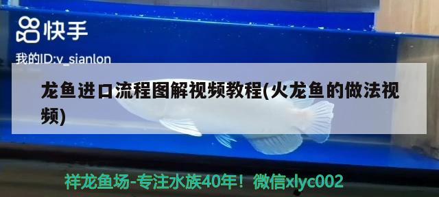 龍魚進口流程圖解視頻教程(火龍魚的做法視頻) 觀賞魚進出口