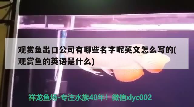 鄭州魚缸搬運(yùn)電話地址查詢：鄭州魚缸維修電話