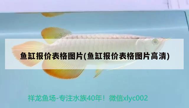 龍魚進(jìn)口流程視頻教程大全圖片欣賞(進(jìn)口魚怎么做)