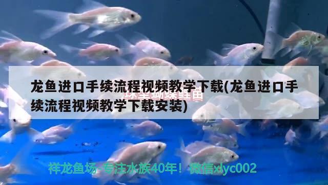 魚缸三合一水泵安裝視頻（魚缸三合一水泵怎么拆開清洗）