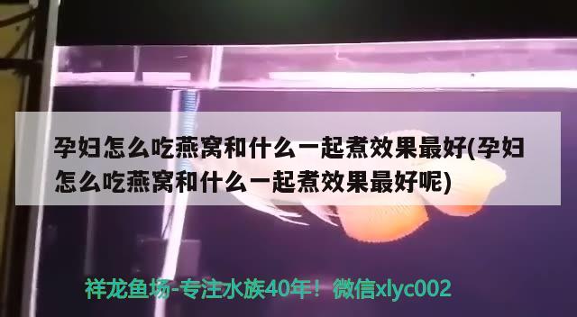 魚缸渾濁的水變清的三種方法（魚缸的水總是渾濁不清,做好5個方面,很快就清清澈澈）