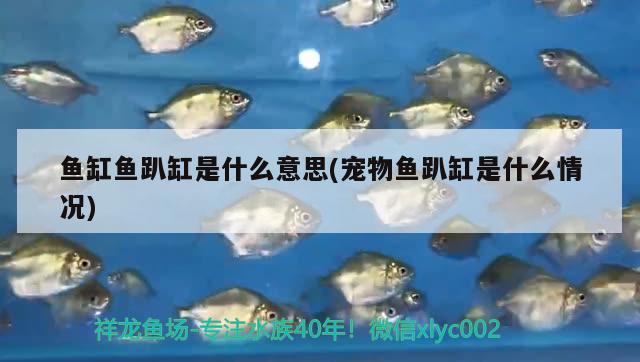 撫順二手魚(yú)缸出售信息大全電話號(hào)（撫順二手水族箱市場(chǎng)在哪） 魚(yú)缸/水族箱 第1張