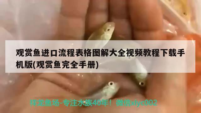 觀賞魚(yú)進(jìn)口流程表格圖解大全視頻教程下載手機(jī)版(觀賞魚(yú)完全手冊(cè)) 觀賞魚(yú)進(jìn)出口