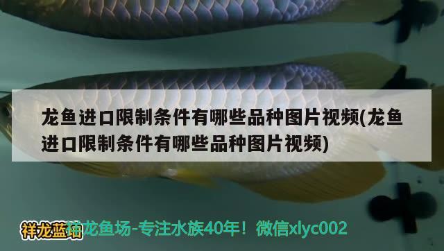 怎樣清除魚缸玻璃膠：怎樣清除魚缸玻璃膠痕跡 觀賞魚市場 第2張