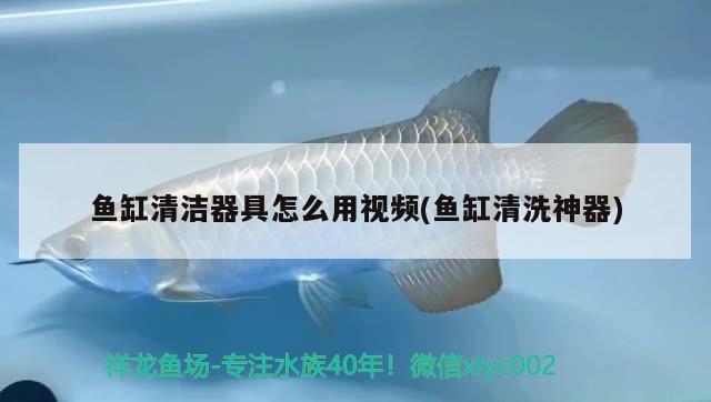 魚缸清潔器具怎么用視頻(魚缸清洗神器)