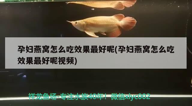 孕婦燕窩怎么吃效果最好呢(孕婦燕窩怎么吃效果最好呢視頻) 馬來西亞燕窩