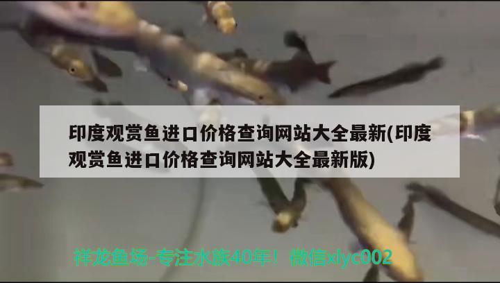 印度觀賞魚進口價格查詢網站大全最新(印度觀賞魚進口價格查詢網站大全最新版)