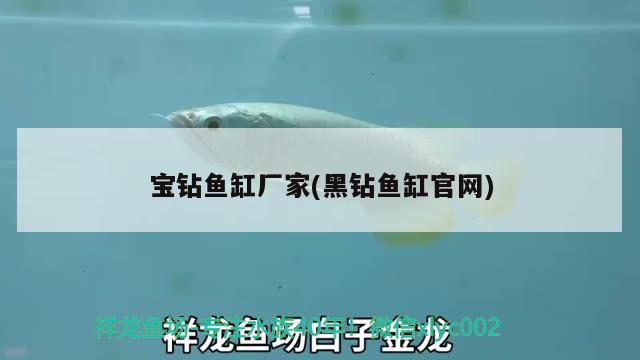 觀賞魚進口流程視頻教程全集圖片下載安裝大全(如何進口觀賞魚) 觀賞魚進出口