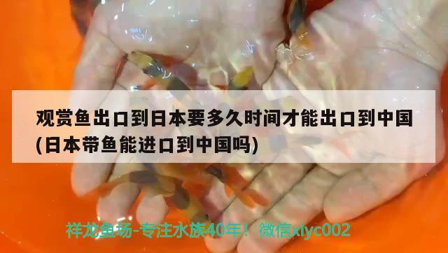 觀賞魚出口到日本要多久時(shí)間才能出口到中國(guó)(日本帶魚能進(jìn)口到中國(guó)嗎) 觀賞魚進(jìn)出口