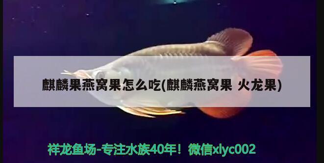 慶陽(yáng)水族批發(fā)市場(chǎng)地址在哪里啊電話：慶陽(yáng)周邊最近的水上樂園