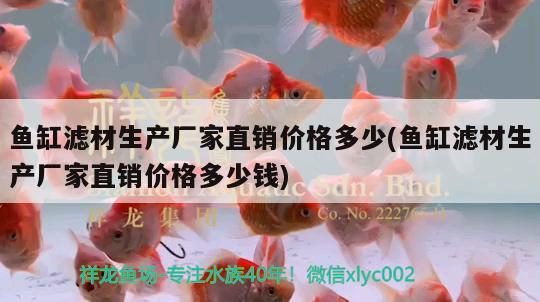 魚缸濾材生產廠家直銷價格多少(魚缸濾材生產廠家直銷價格多少錢)