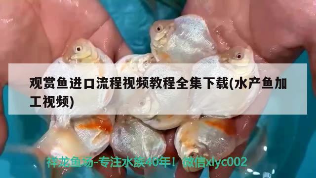 觀賞魚進口流程視頻教程全集下載(水產(chǎn)魚加工視頻) 觀賞魚進出口