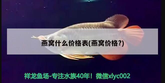 許昌賣魚(yú)缸的地方在哪里呀（許昌哪里有賣金魚(yú)的市場(chǎng)）