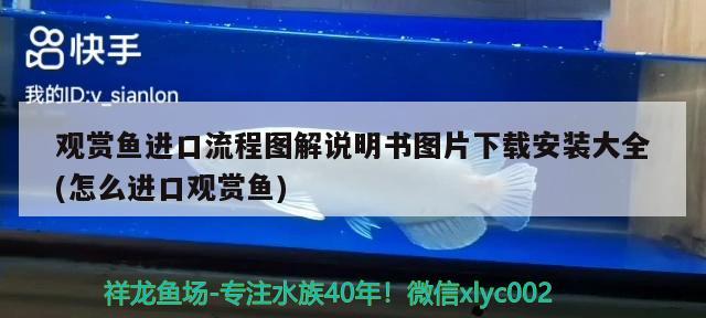 觀賞魚進口流程圖解說明書圖片下載安裝大全(怎么進口觀賞魚) 觀賞魚進出口