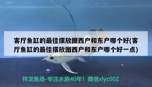 晉州哪里有賣魚缸的地方啊圖片視頻（晉州漁具店） 水族主題相關(guān) 第2張