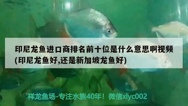 榆中金龍觀賞魚店 全國(guó)水族館企業(yè)名錄 第1張