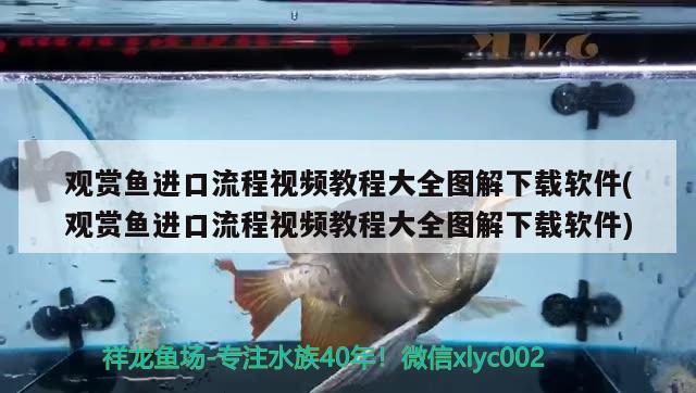 魚缸換水要曬幾天及魚缸換水自來水要曬幾天太陽魚缸換水，魚缸換水自來水要曬幾天