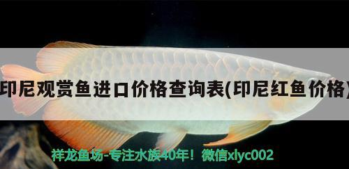 印尼觀賞魚(yú)進(jìn)口價(jià)格查詢表(印尼紅魚(yú)價(jià)格) 觀賞魚(yú)進(jìn)出口