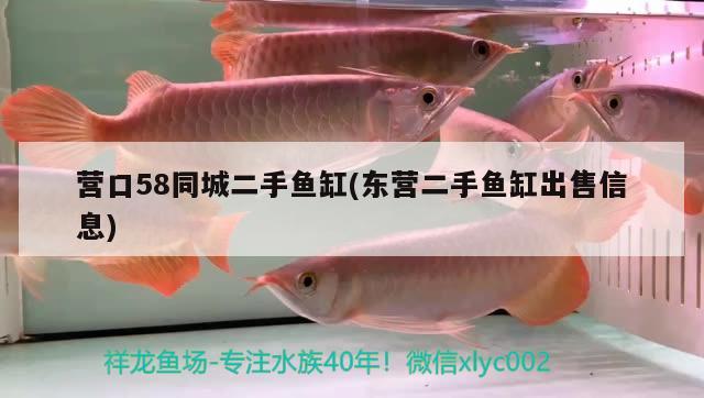 營口58同城二手魚缸(東營二手魚缸出售信息)