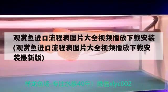 觀賞魚進(jìn)口流程表圖片大全視頻播放下載安裝(觀賞魚進(jìn)口流程表圖片大全視頻播放下載安裝最新版) 觀賞魚進(jìn)出口