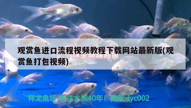 觀賞魚進(jìn)口流程視頻教程下載網(wǎng)站最新版(觀賞魚打包視頻) 觀賞魚進(jìn)出口