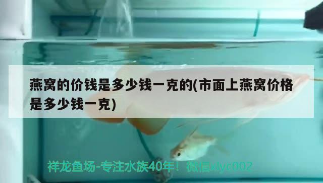 沈陽魚缸廠家聯(lián)系電話號碼（沈陽賣魚缸的地方） 祥龍水族護理水