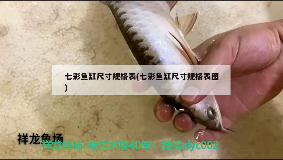 七彩魚缸尺寸規(guī)格表(七彩魚缸尺寸規(guī)格表圖) 申古三間魚