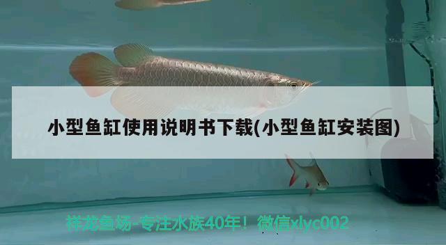 陽臺適合放魚缸嗎？風水好不好呀陽臺適合放魚缸嗎？，陽臺適合放魚缸嗎陽臺適合放魚缸嗎風水好不好呀 魚缸風水 第3張