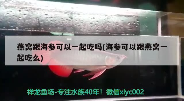 50公分的魚缸養(yǎng)銀龍合適嗎（50cm魚缸養(yǎng)銀龍） 孵化器