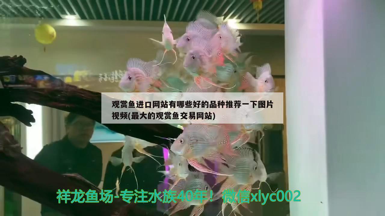 中國50品牌魚缸有哪些？，2022-11-01中國50品牌魚缸 充氧泵 第1張