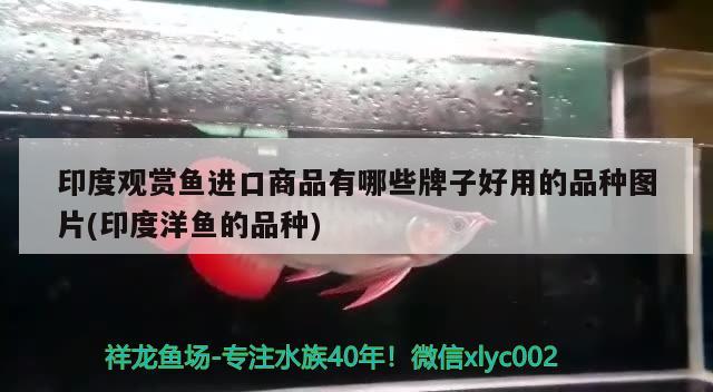 陽臺適合放魚缸嗎？風水好不好呀陽臺適合放魚缸嗎？，陽臺適合放魚缸嗎陽臺適合放魚缸嗎風水好不好呀 魚缸風水 第1張