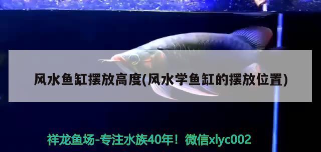 風水魚缸擺放高度(風水學魚缸的擺放位置) 魚缸風水 第1張