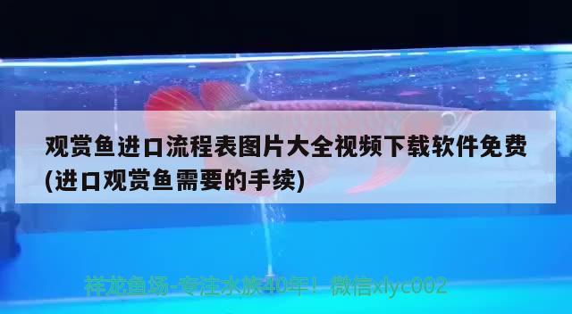 觀賞魚進口流程表圖片大全視頻下載軟件免費(進口觀賞魚需要的手續(xù)) 觀賞魚進出口