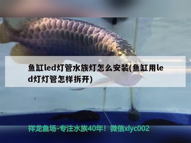 魚缸led燈管水族燈怎么安裝(魚缸用led燈燈管怎樣拆開) 慈雕魚