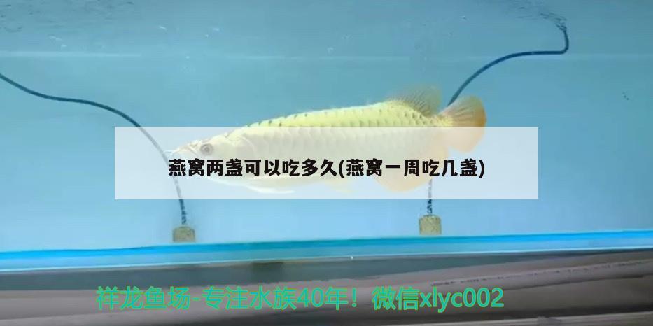 鲅魚(yú)圈魚(yú)缸制作工廠電話號(hào)碼（家里買(mǎi)的是紅木家具 想買(mǎi)幾瓶花 推薦一下） 蘇虎苗（蘇門(mén)答臘虎魚(yú)苗） 第1張