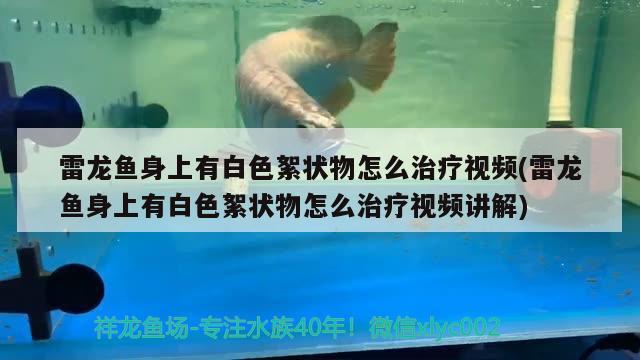 長春魚缸維修哪家好啊多少錢啊 長春魚缸清洗服務(wù)