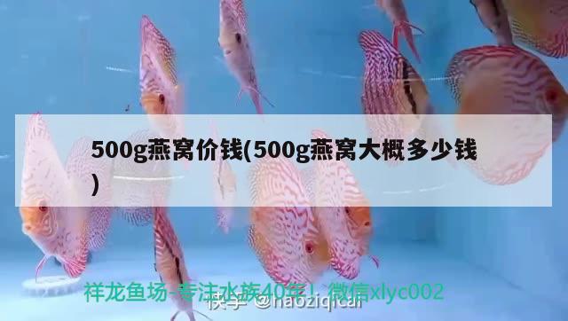 魚缸造景如何清理魚缸內(nèi)臟視頻：魚缸造景如何清理魚缸內(nèi)臟視頻講解 元寶鯽