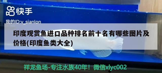 泰國珍珠羅漢魚，什么牌子的魚食最好，羅漢魚的種類有哪些