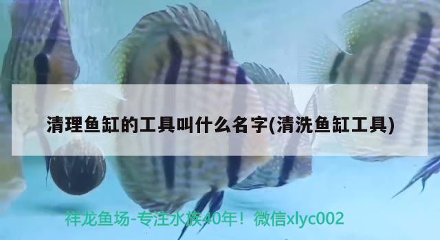 清理魚缸的工具叫什么名字(清洗魚缸工具)