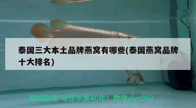 泰國(guó)三大本土品牌燕窩有哪些(泰國(guó)燕窩品牌十大排名) 馬來西亞燕窩