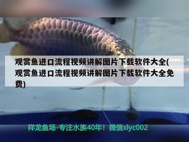 觀賞魚進口流程視頻講解圖片下載軟件大全(觀賞魚進口流程視頻講解圖片下載軟件大全免費) 觀賞魚進出口