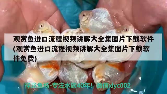 觀賞魚進(jìn)口流程視頻講解大全集圖片下載軟件(觀賞魚進(jìn)口流程視頻講解大全集圖片下載軟件免費(fèi)) 觀賞魚進(jìn)出口